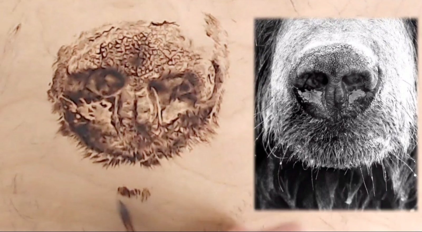 Advanced Pyrography Techniques: Master Portraits, Fine Detail, and Professional Finishes
