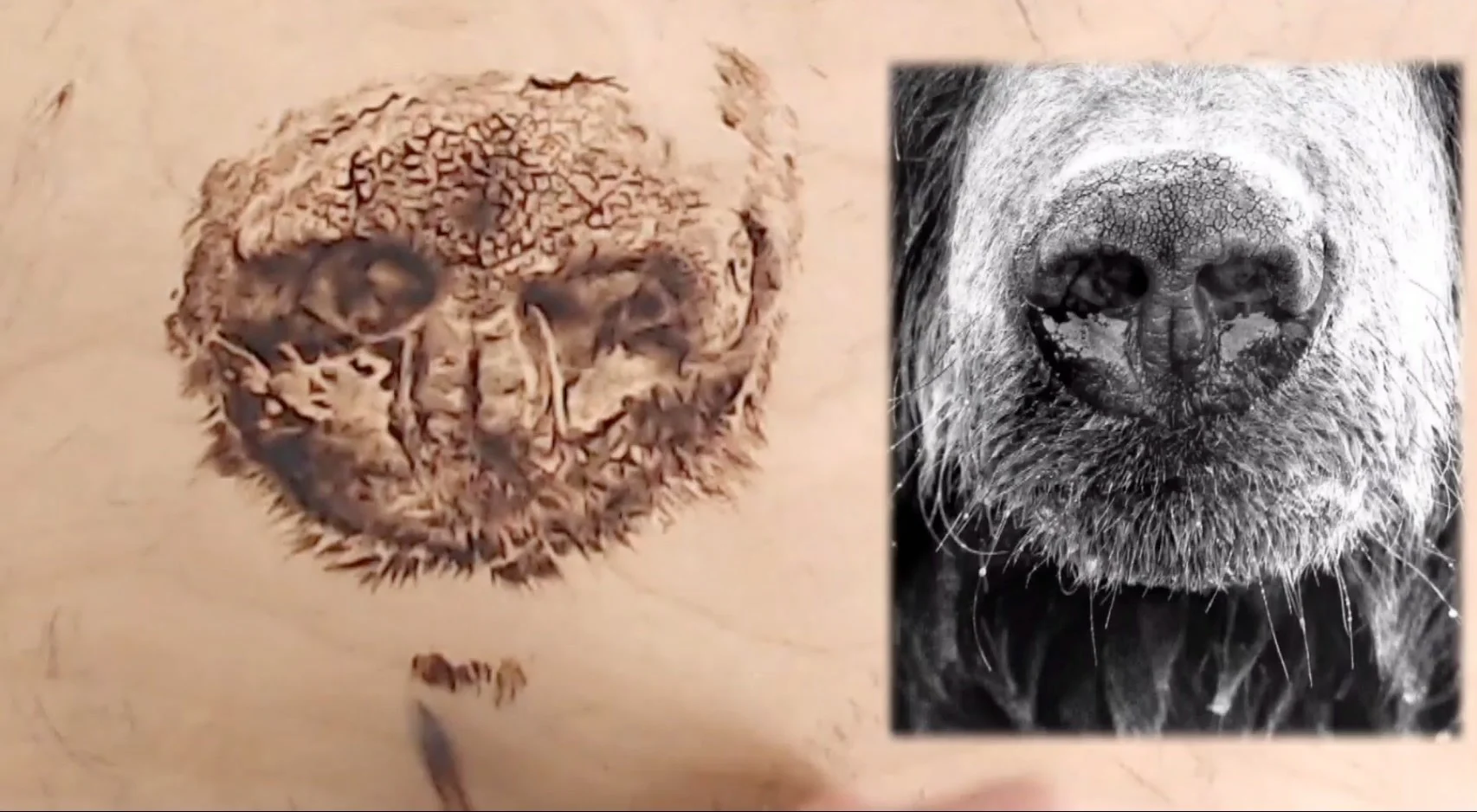 How to Burn Realistic Fur and Animal Textures