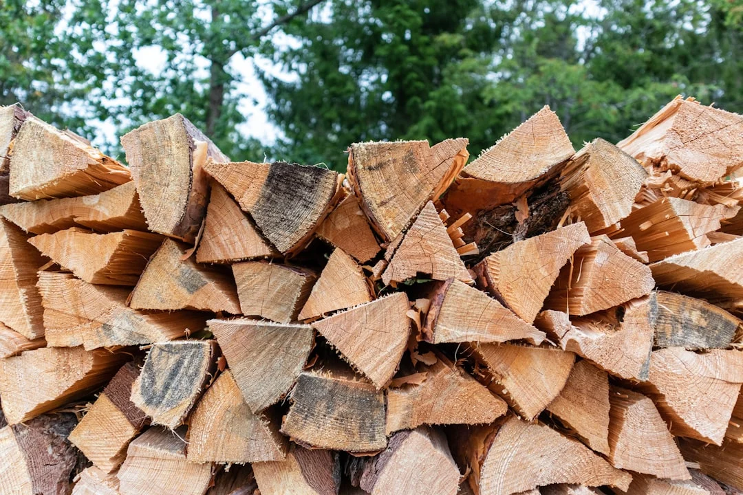 Wood Burning Safety: What Every Beginner Must Know