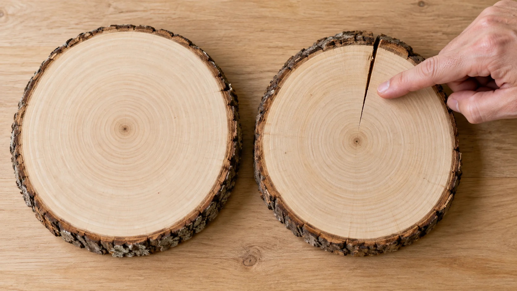 Illustration comparing an intact wood round with a round that has a visible drying split